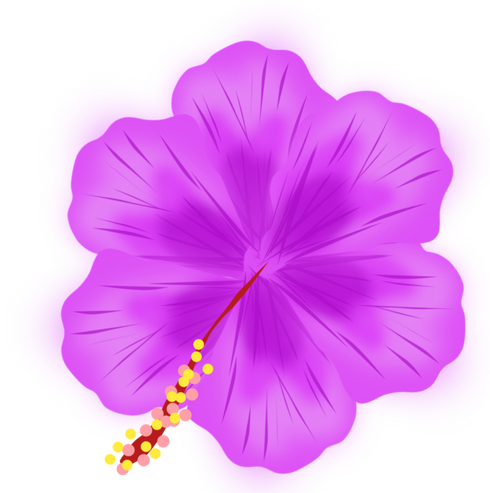 Purple Flower Illustration